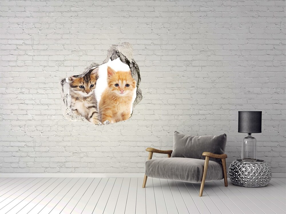 Dziura 3d fototapeta na ścianę Brązowy i rudy kot