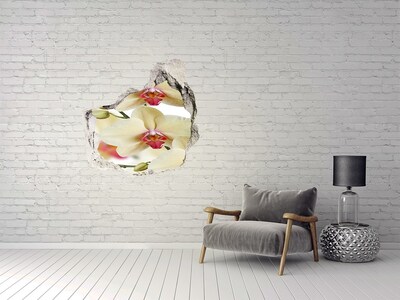 Fototapeta naklejka na ścianę Orchidea