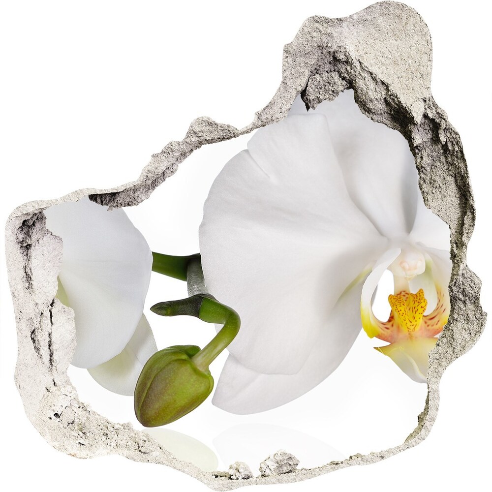 Samoprzylepna naklejka fototapeta Orchidea