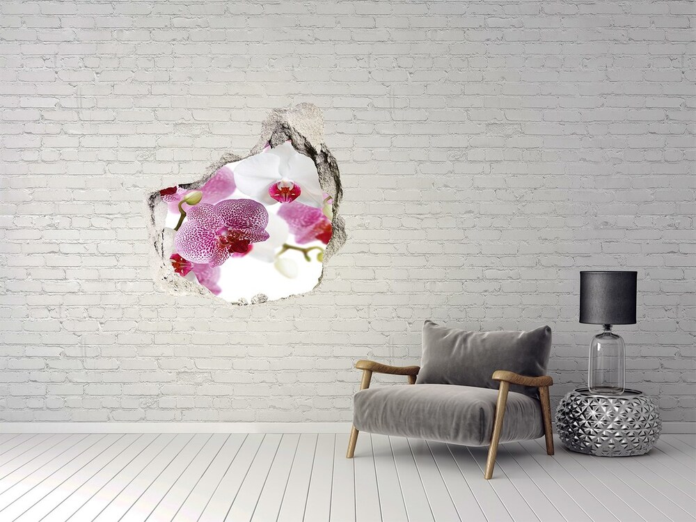 Fototapeta naklejka na ścianę fototapeta Orchidea