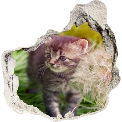 Dziura 3d fototapeta naklejka Kotek z dmuchawcem