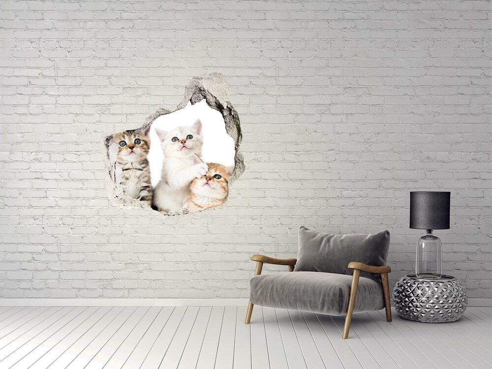 Dziura 3d fototapeta ścienna Naklejka Małe koty