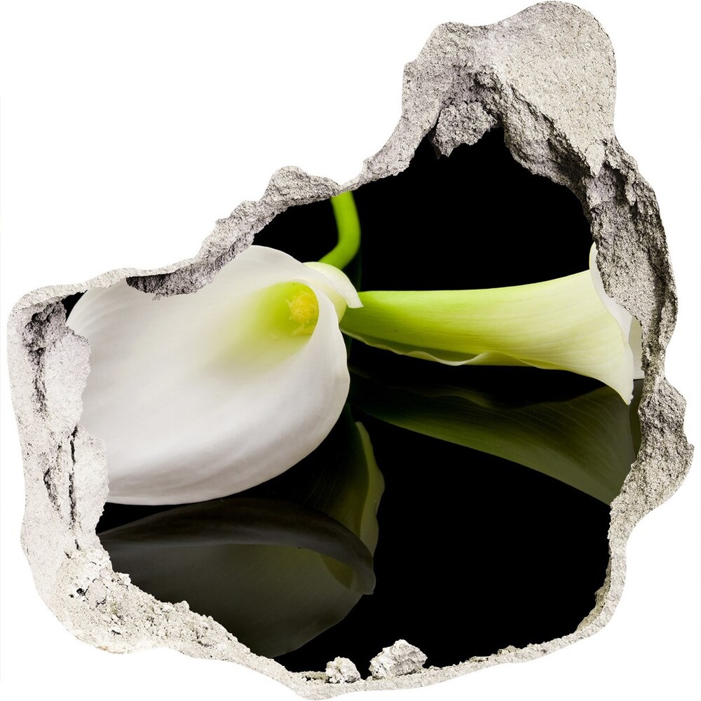 Samoprzylepna naklejka fototapeta Kalia