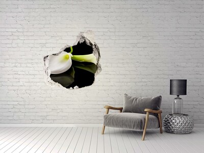 Samoprzylepna naklejka fototapeta Kalia