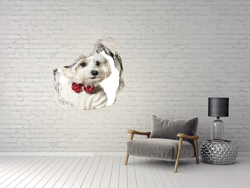 Dziura 3d fototapeta Maltańczyk w muszce