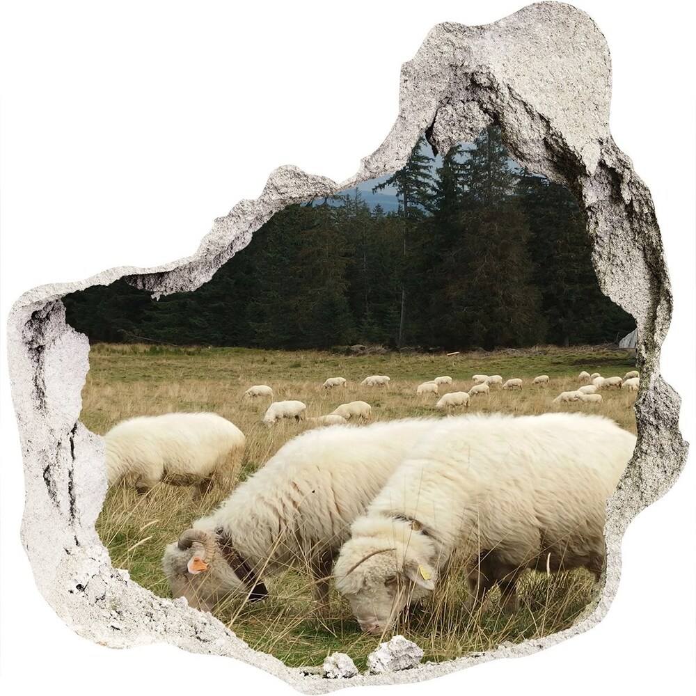 Dziura 3d fototapeta naklejka Pasące się owce