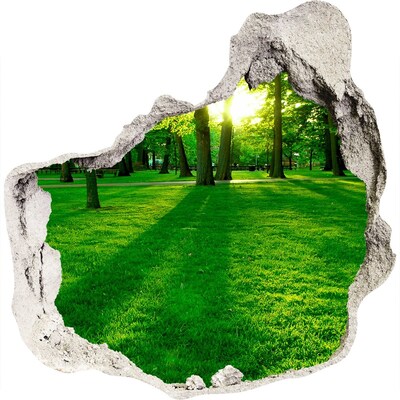 Dziura 3d w ścianie naklejka Trawa w parku