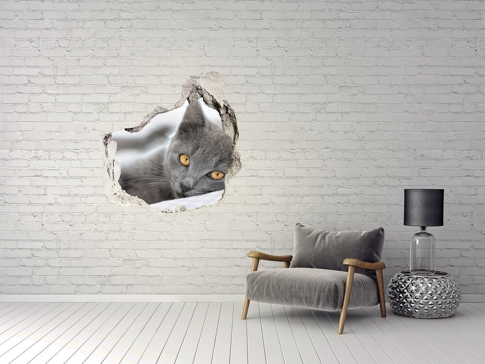 Dziura 3d fototapeta naklejka Szary kot