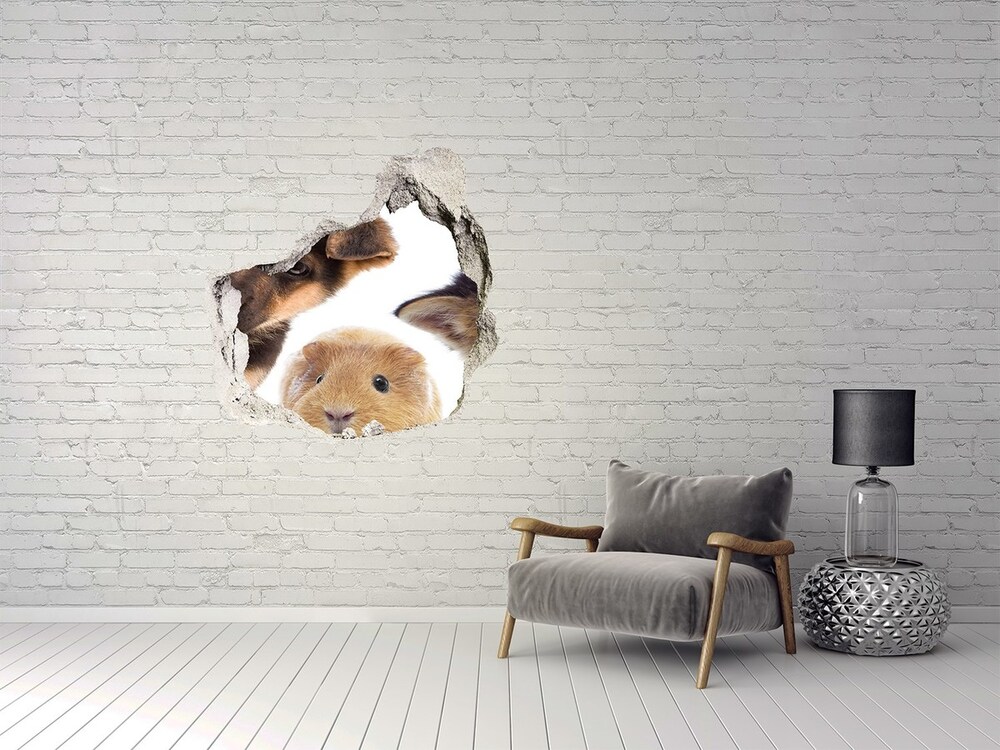 Dziura 3d fototapeta naklejka Zwierzęta domowe