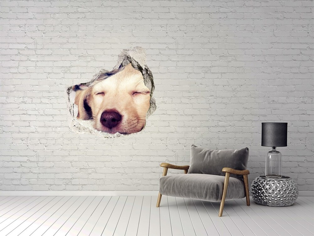 Dziura 3d fototapeta na ścianę Szczeniak i koty