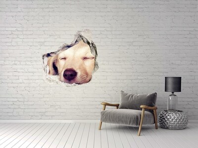 Dziura 3d fototapeta na ścianę Szczeniak i koty
