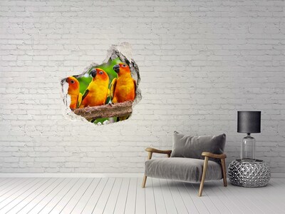 Dziura 3d fototapeta naklejka Papugi na gałęzi