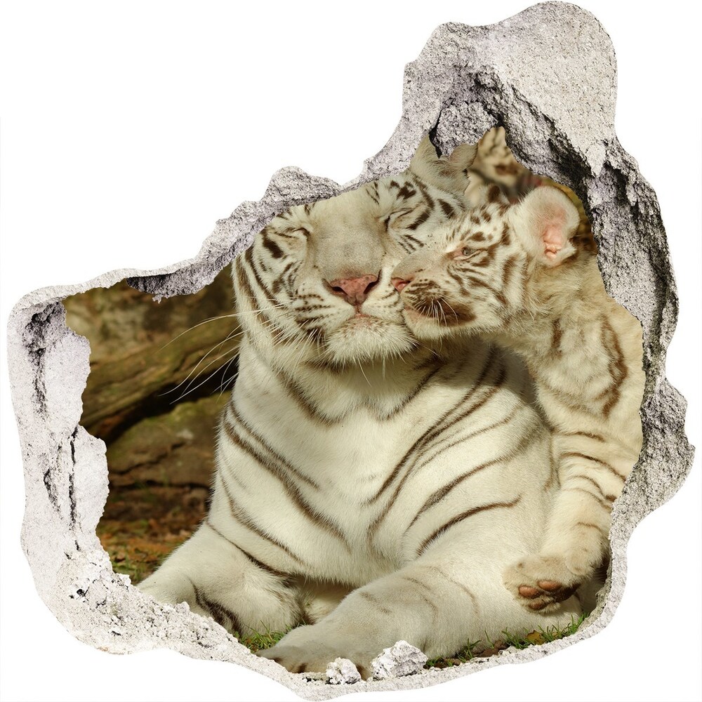 Dziura 3d fototapeta naklejka Tygrysy