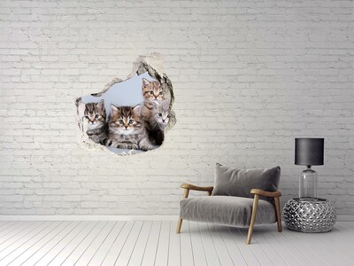 Dziura 3d fototapeta naklejka Pięć kotów