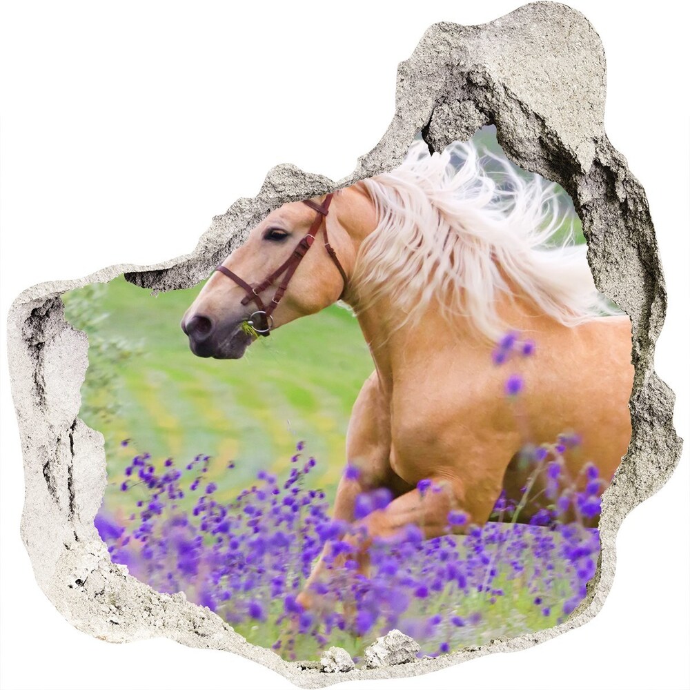 Dziura 3d fototapeta Koń na polu lawendy