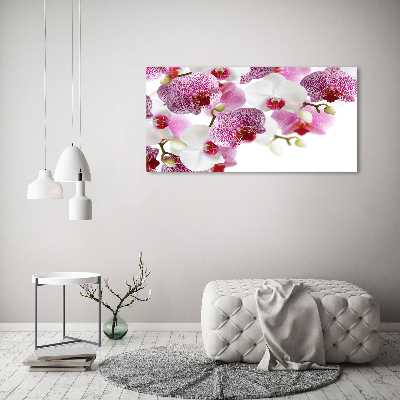 Obraz zdjęcie na ścianę akryl Orchidea