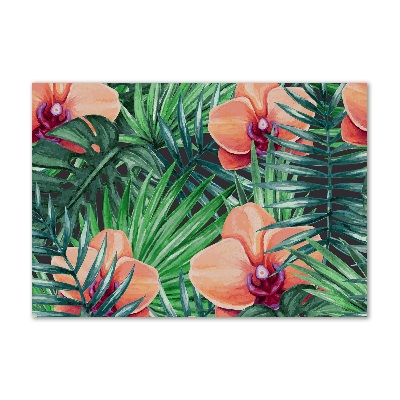 Obraz zdjęcie na ścianę akryl Orchidea
