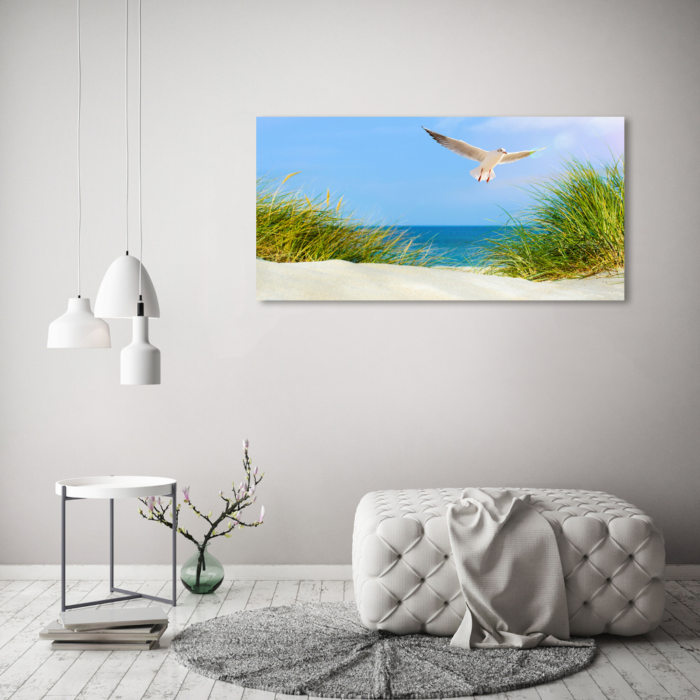 Foto obraz szkło akryl Mewa na plaży