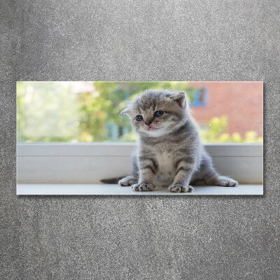 Foto obraz akryl Mały kot przy oknie