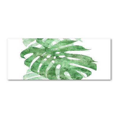 Obraz zdjęcie na ścianę akryl Monstera