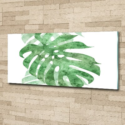 Obraz zdjęcie na ścianę akryl Monstera