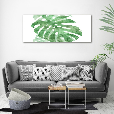Obraz zdjęcie na ścianę akryl Monstera