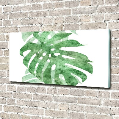 Obraz zdjęcie na ścianę akryl Monstera