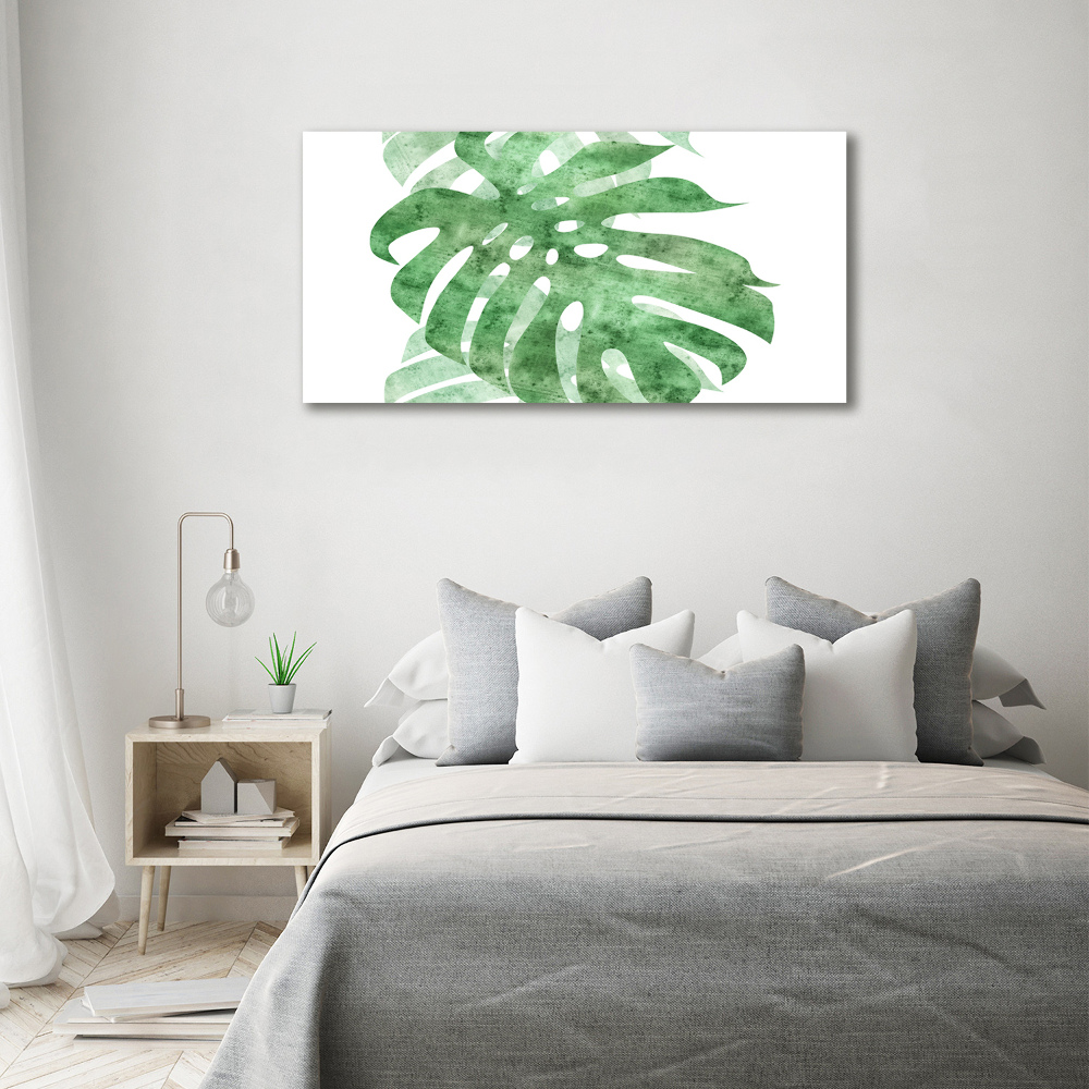 Obraz zdjęcie na ścianę akryl Monstera