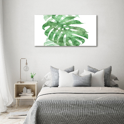 Obraz zdjęcie na ścianę akryl Monstera