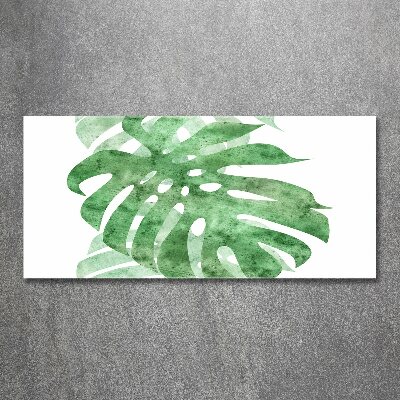 Obraz zdjęcie na ścianę akryl Monstera