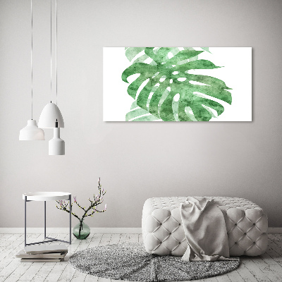 Obraz zdjęcie na ścianę akryl Monstera