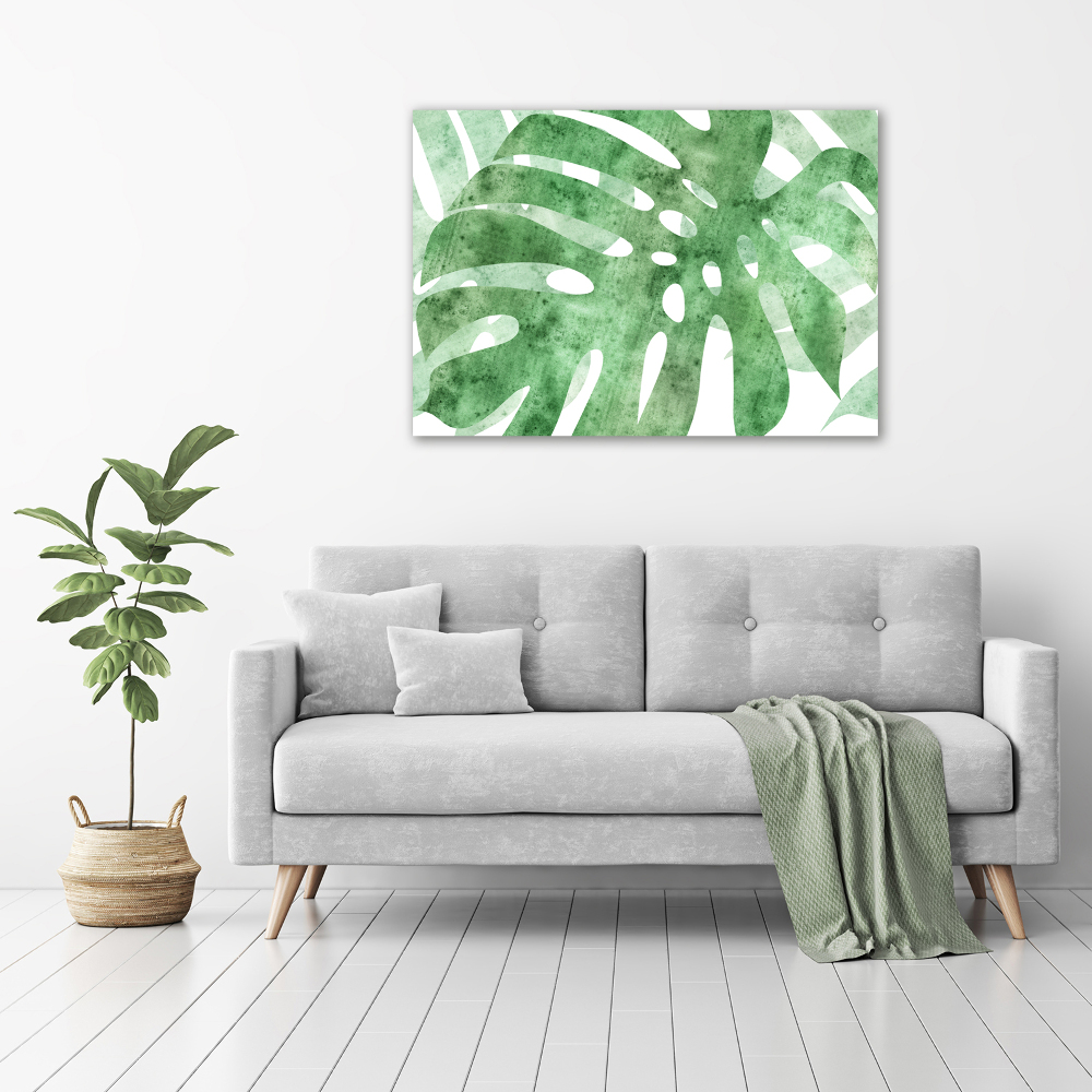 Obraz zdjęcie na ścianę akryl Monstera