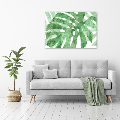 Obraz zdjęcie na ścianę akryl Monstera