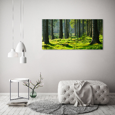 Foto obraz szkło akryl Las świerkowy