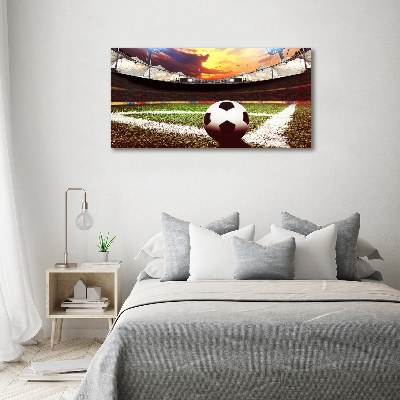 Foto obraz akryl Piłka na stadionie