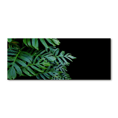 Obraz zdjęcie na ścianę akryl Monstera