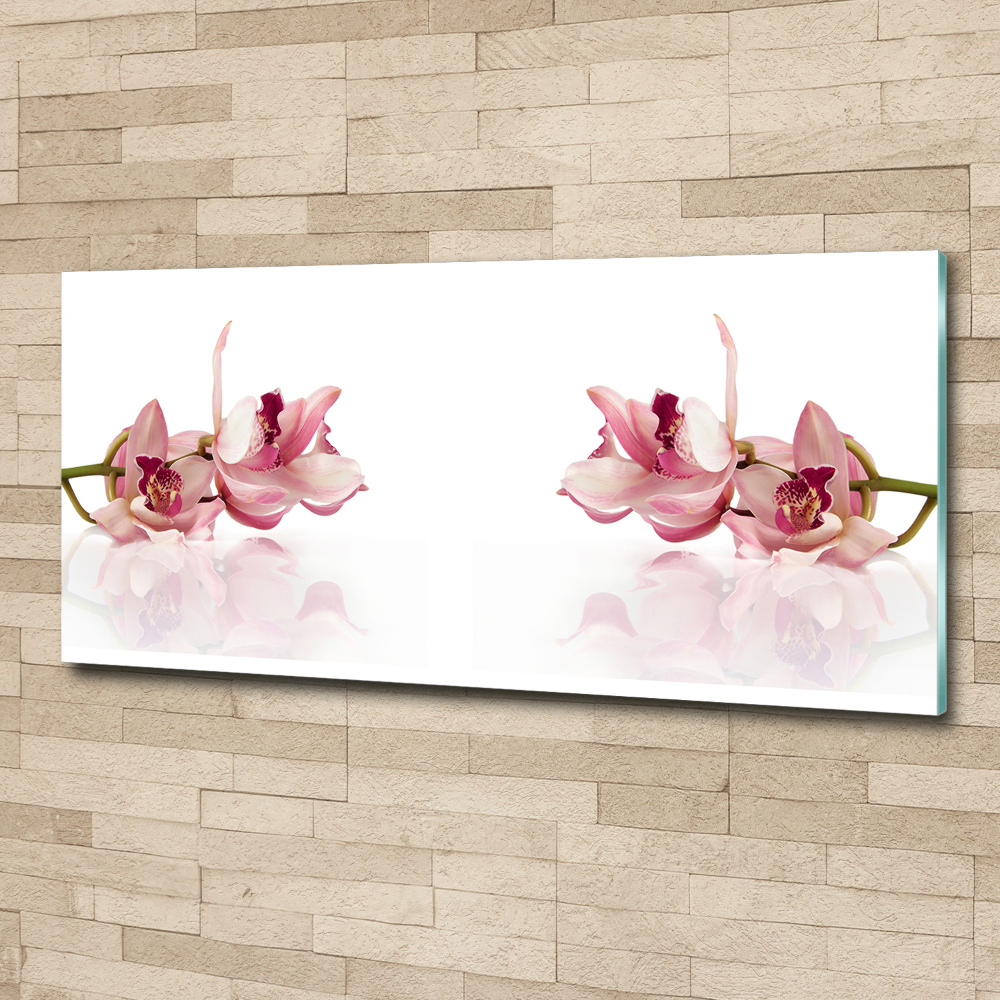 Obraz zdjęcie na ścianę akryl Orchidea