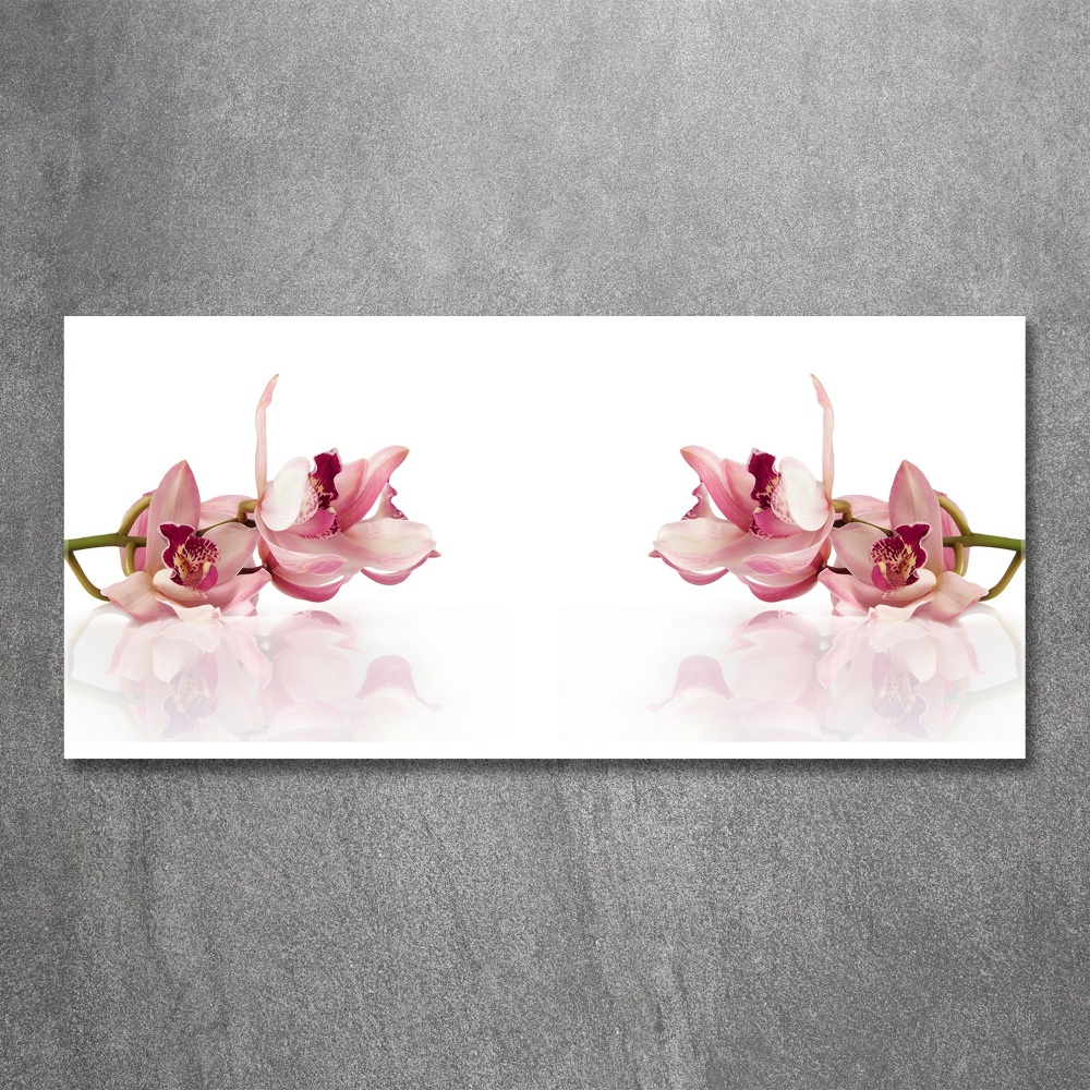Obraz zdjęcie na ścianę akryl Orchidea