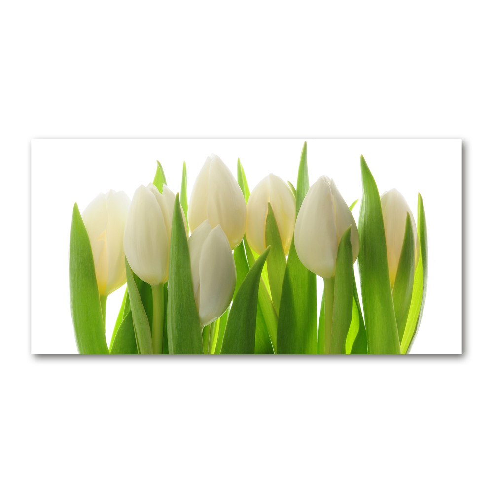 Obraz zdjęcie na ścianę akryl Tulipany