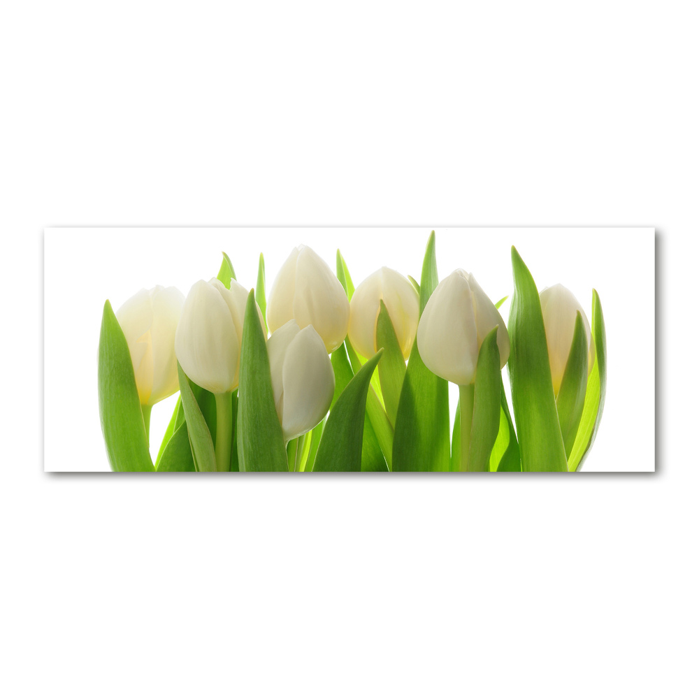 Obraz zdjęcie na ścianę akryl Tulipany