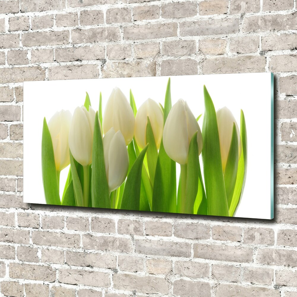 Obraz zdjęcie na ścianę akryl Tulipany