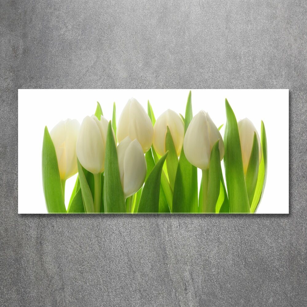 Obraz zdjęcie na ścianę akryl Tulipany