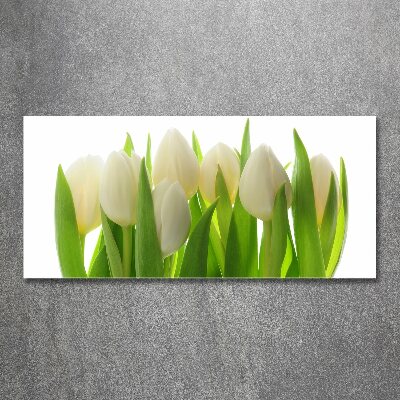 Obraz zdjęcie na ścianę akryl Tulipany