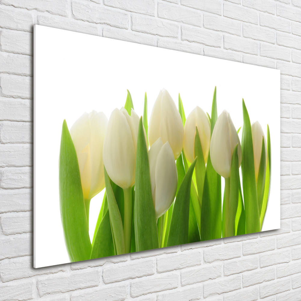 Obraz zdjęcie na ścianę akryl Tulipany