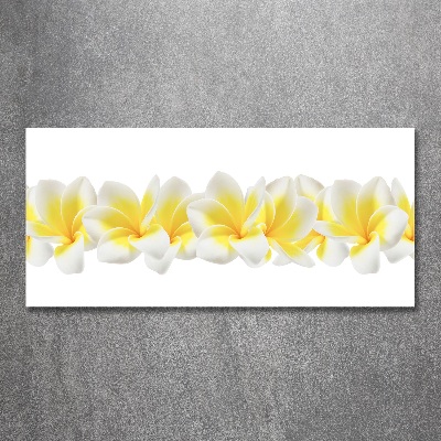 Obraz zdjęcie na ścianę akryl Plumeria
