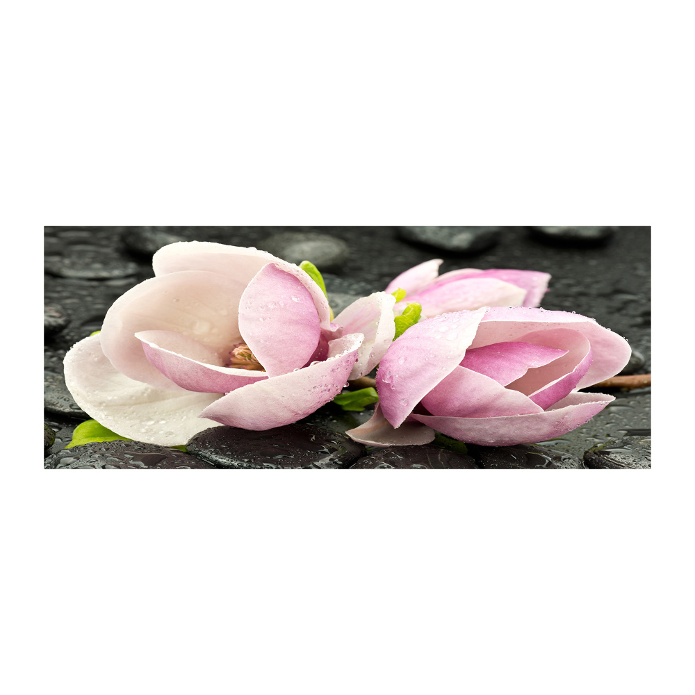 Obraz zdjęcie akryl Magnolia kamień zen