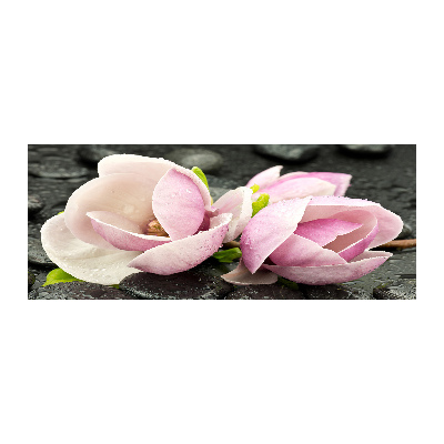 Obraz zdjęcie akryl Magnolia kamień zen
