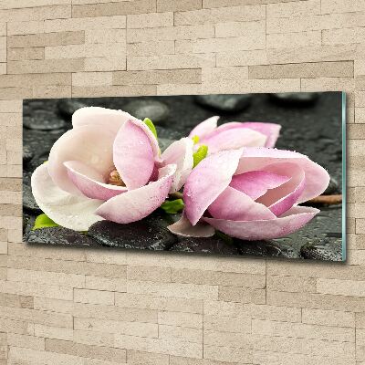 Obraz zdjęcie akryl Magnolia kamień zen