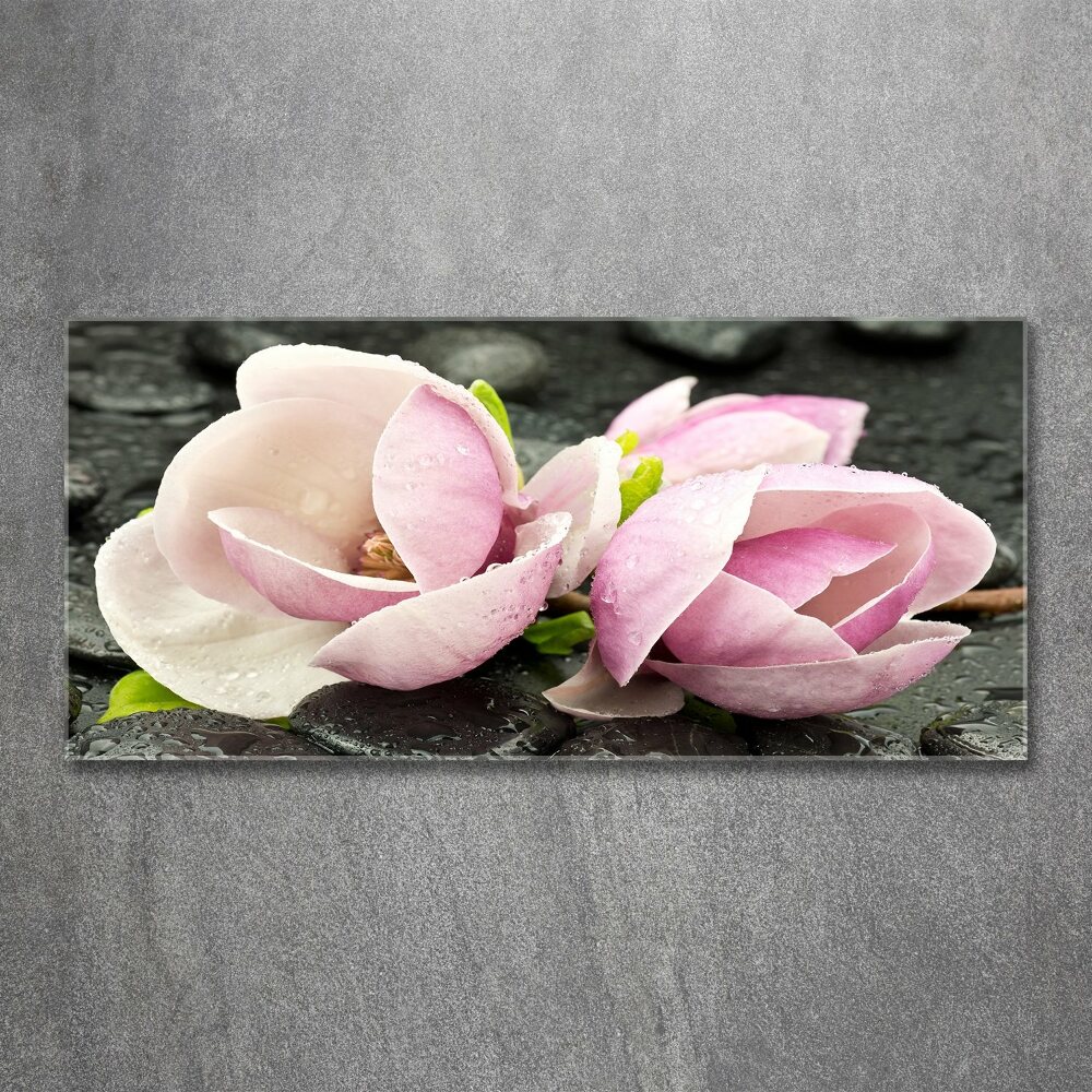 Obraz zdjęcie akryl Magnolia kamień zen