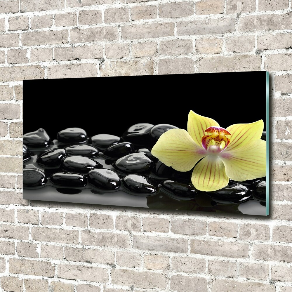 Obraz zdjęcie na ścianę akryl Orchidea